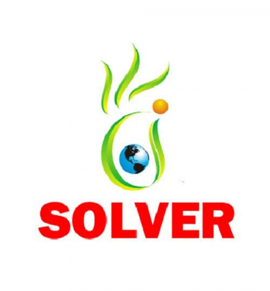 SOLVER SOLUTIONS SOFTWARE COMPANY